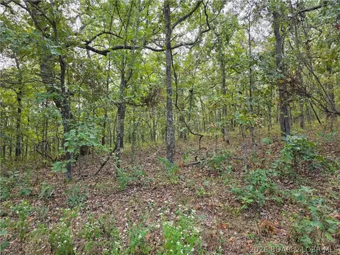 forbes road, Edwards, MO 65326 photo 14