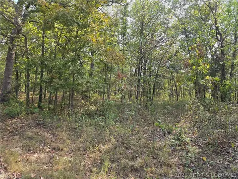 forbes road, Edwards, MO 65326 photo 2