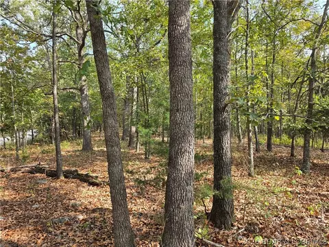 forbes road, Edwards, MO 65326 photo 5