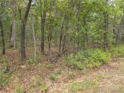 forbes road, Edwards, MO 65326 photo 22