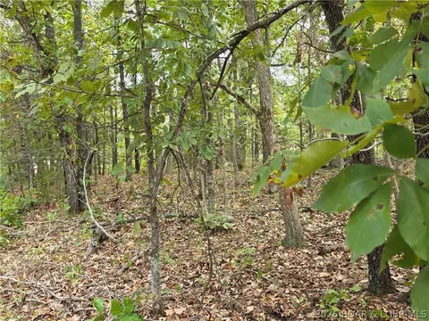 forbes road, Edwards, MO 65326 photo 11