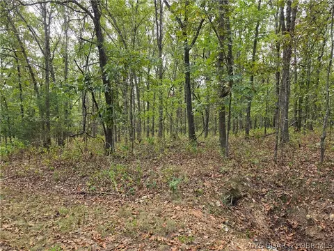 forbes road, Edwards, MO 65326 photo 16