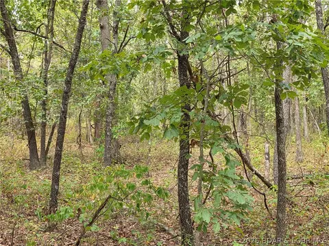 forbes road, Edwards, MO 65326 photo 26