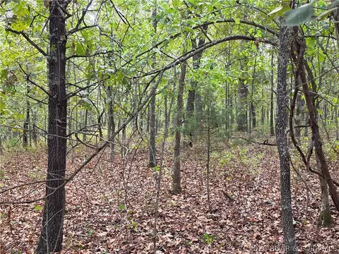 forbes road, Edwards, MO 65326 photo 13