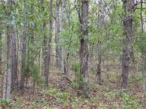 forbes road, Edwards, MO 65326 photo 25
