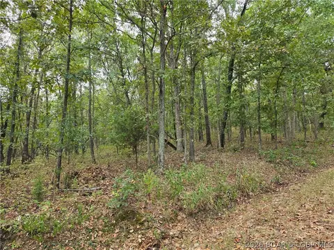 forbes road, Edwards, MO 65326 photo 17