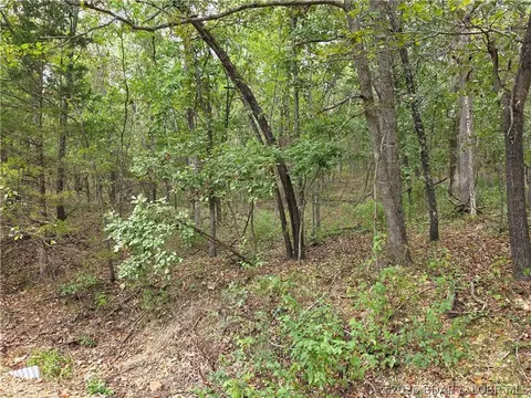 forbes road, Edwards, MO 65326 photo 20