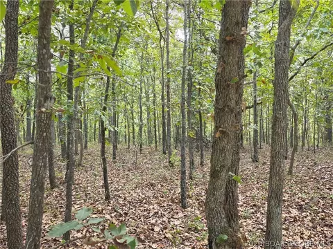 forbes road, Edwards, MO 65326 photo 8
