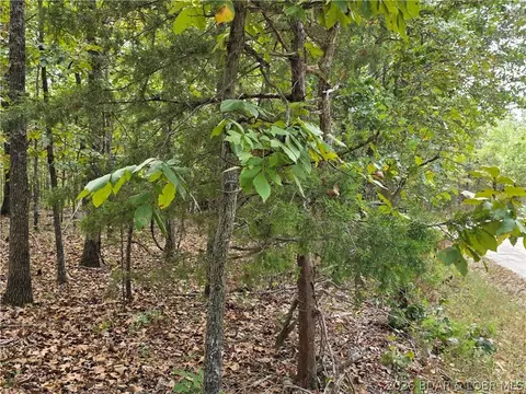 forbes road, Edwards, MO 65326 photo 10