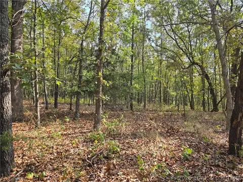 forbes road, Edwards, MO 65326 photo 4