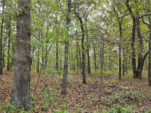 forbes road, Edwards, MO 65326 photo 7