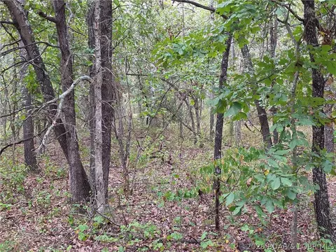forbes road, Edwards, MO 65326 photo 23