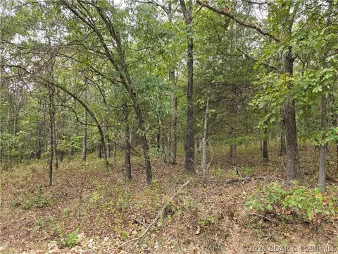 forbes road, Edwards, MO 65326 photo 19