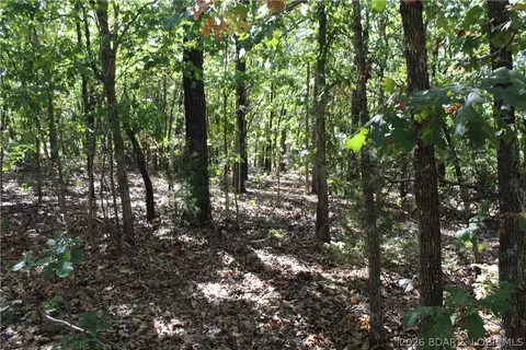 5 7 Acres D Hwy, Camdenton, MO 65020 photo 17