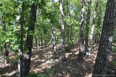 5 7 Acres D Hwy, Camdenton, MO 65020 photo 3