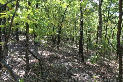 5 7 Acres D Hwy, Camdenton, MO 65020 photo 12