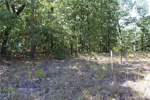 5 7 Acres D Hwy, Camdenton, MO 65020 photo 7