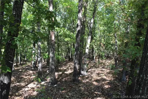 5 7 Acres D Hwy, Camdenton, MO 65020 photo 5