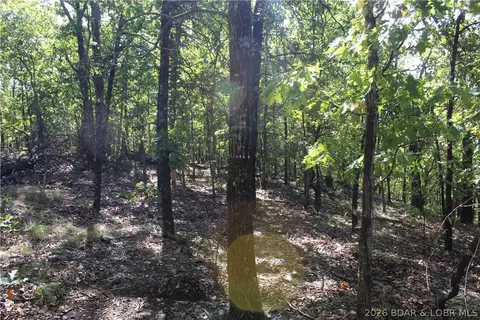 5 7 Acres D Hwy, Camdenton, MO 65020 photo 13