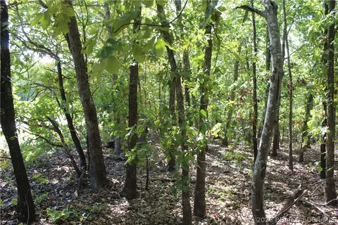5 7 Acres D Hwy, Camdenton, MO 65020 photo 23