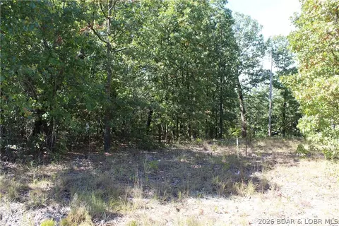 5 7 Acres D Hwy, Camdenton, MO 65020 photo 9