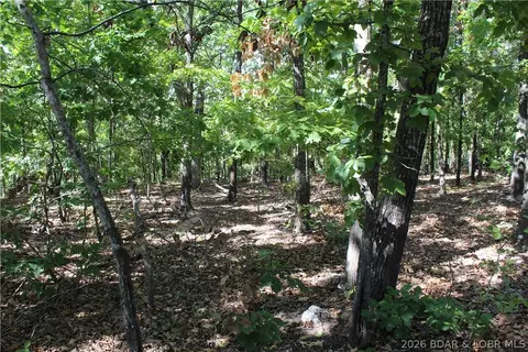 5 7 Acres D Hwy, Camdenton, MO 65020 photo 4