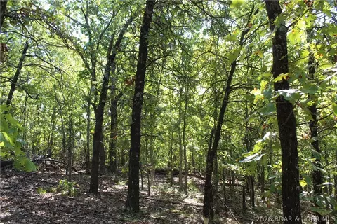 5 7 Acres D Hwy, Camdenton, MO 65020 photo 16
