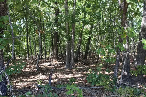 5 7 Acres D Hwy, Camdenton, MO 65020 photo 6