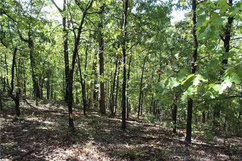5 7 Acres D Hwy, Camdenton, MO 65020 photo 14