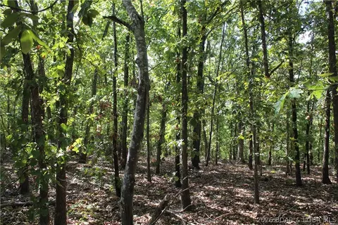 5 7 Acres D Hwy, Camdenton, MO 65020 photo 22
