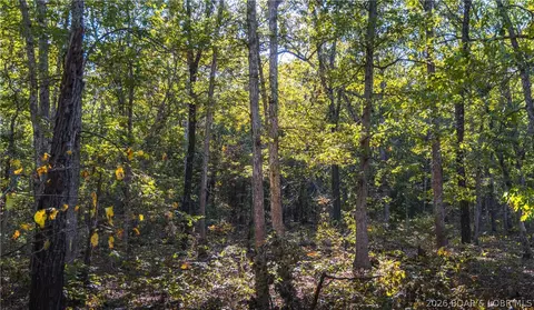 50 Acres Partridge Dr, Climax Springs, MO 65324