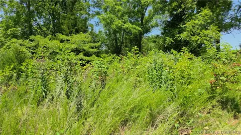 Tract 3 M And M Ranch Lane, Eldon, MO 65026 photo 18