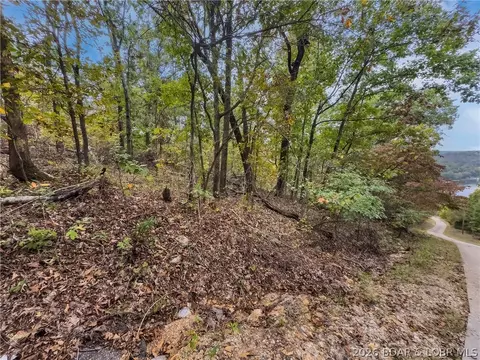 Aaron’s Point Drive, Camdenton, MO 65020 photo 7