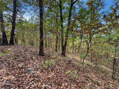 tbd Tranquil Woods Rd, Camdenton, MO 65020 photo 4
