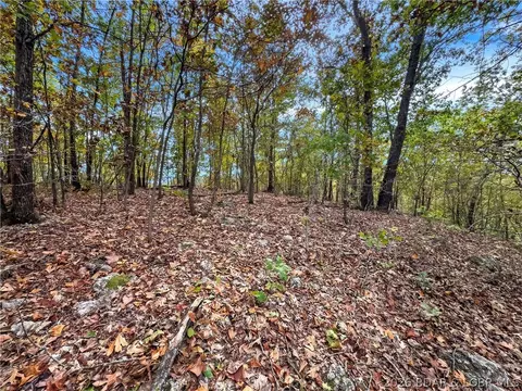 tbd Tranquil Woods Rd, Camdenton, MO 65020 photo 5