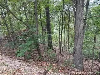 lot710 A Muirfield Dr, Porto Cima, MO 65079
