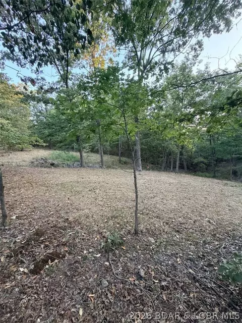 0 Higgens Ave, Camdenton, MO 65020 photo 17