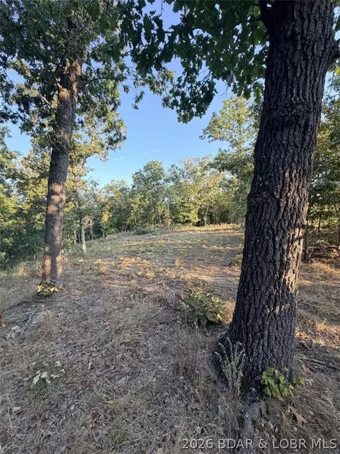 0 Higgens Ave, Camdenton, MO 65020 photo 8