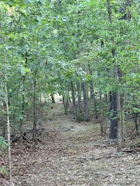 0 Higgens Ave, Camdenton, MO 65020 photo 15