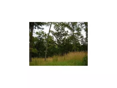 135 S Woods Way, Branson, MO 65616 photo 1