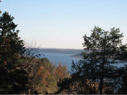579 Velma Rd, Protem, MO 65733 photo 1