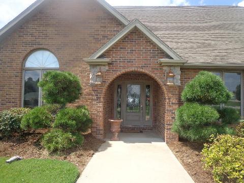 225 Secret Spring Dr, Ozark, MO 65721 photo 1