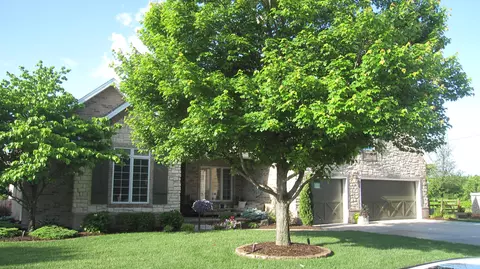 3410 E Anne St, Ozark, MO 65721 photo 1