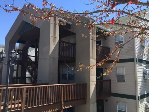 20 Goldfinch Rd #3, Branson, MO 65616 photo 1