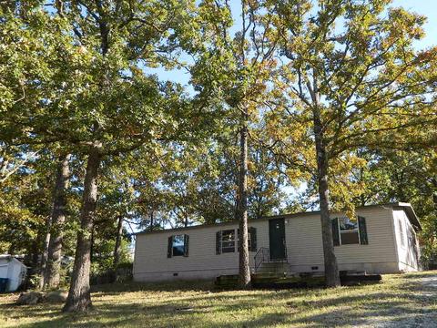 151 Blackberry Dr, Branson, MO 65616 photo 1