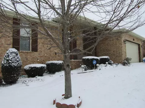 441 S Melaleuca Dr, Springfield, MO 65809 photo 1