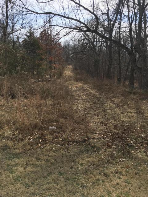 1742 E 555th Rd, Brighton, MO 65617 photo 1