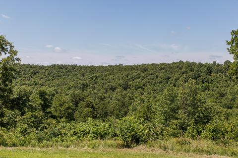 106 Post Oak Rd, Tunas, MO 65764 photo 1