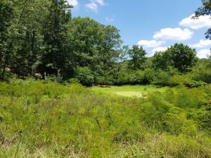 799 Warner Rd, Crane, MO 65633 photo 1