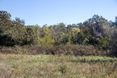 16 Windstorm Ln, Buffalo, MO 65622 photo 1